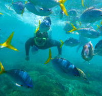 G Adventures - Accommodation Tasmania