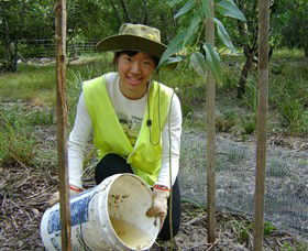 Conservation Volunteers Australia - Sydney - Accommodation Tasmania 1