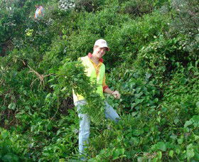 Conservation Volunteers Australia - Sydney - Accommodation Tasmania 2