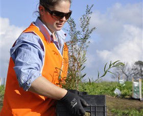 Conservation Volunteers Australia - Sydney - Accommodation Tasmania 3