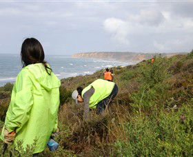 Conservation Volunteers Australia - Sydney - Accommodation Tasmania 5