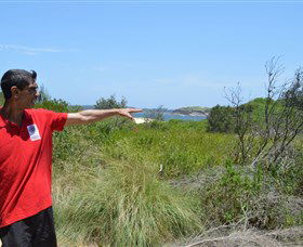 Kadoo Tours - Accommodation Tasmania 0