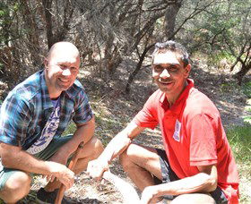 Kadoo Tours - Accommodation Tasmania 2
