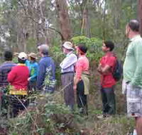 Boronia Tours - Accommodation Tasmania