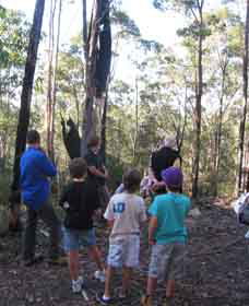 Boronia Tours - Accommodation Tasmania 1