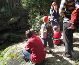 Boronia Tours - Accommodation Tasmania 2