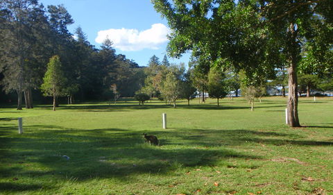 The Basin Picnic Area - Accommodation Tasmania 1