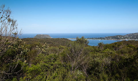 Aboriginal Heritage Walk - Accommodation Tasmania 1