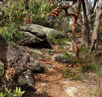 Box Head track - Accommodation Tasmania