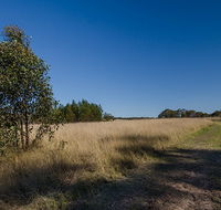 Scheyville horse riding trails - Accommodation Tasmania