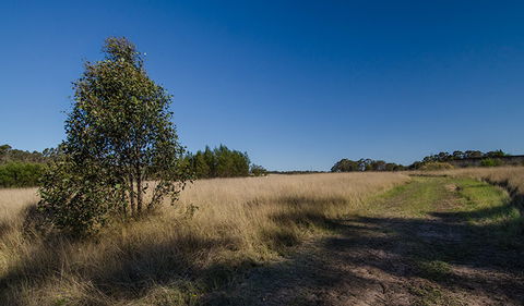 Scheyville Horse Riding Trails - Accommodation Tasmania 0