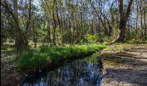 Scheyville Horse Riding Trails - Accommodation Tasmania 2