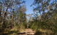 Scheyville Horse Riding Trails - thumb 3