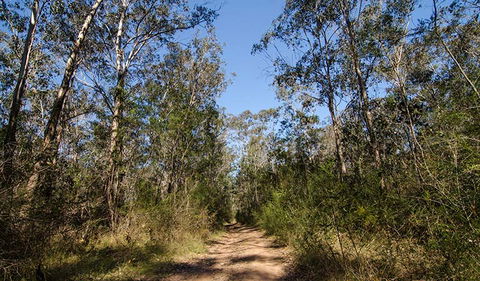 Scheyville Horse Riding Trails - Accommodation Tasmania 3