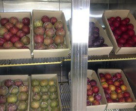 Canoelands Orchard - Accommodation Tasmania 1