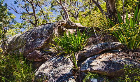 Canoelands Ridge Walking Track - Accommodation Tasmania 1