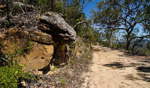 Canoelands Ridge Walking Track - Accommodation Tasmania 0