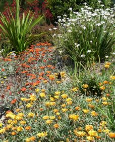 Mt Penang Gardens - Accommodation Tasmania 4