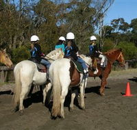 Darkes Forest Riding Ranch - Accommodation Tasmania