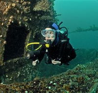 Ex-Hmas Adelaide Dive Site - Accommodation Tasmania