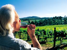 Ashton Hills Vineyard - Accommodation Tasmania 0
