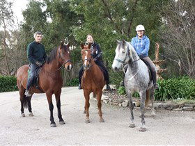 Academy Of Dressage - Accommodation Tasmania 0