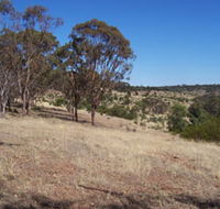 Onkaparinga River National Park - Accommodation Tasmania