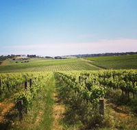 Adelaide Winemakers - Accommodation Tasmania