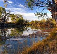 Murray River National Park - Accommodation Tasmania