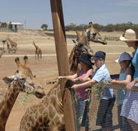 Monarto Open Range Zoo - Accommodation Tasmania