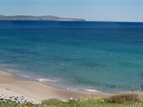 Carrickalinga Beach - Accommodation Tasmania 1