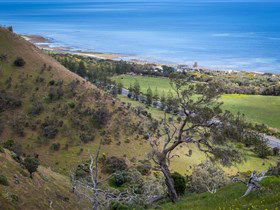 Lady Bay Beach - Accommodation Tasmania 1