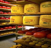 Alexandrina Cheese Company - Accommodation Tasmania