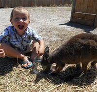 Animal Farm Goolwa - Accommodation Tasmania