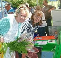 Victor Harbor Farmers Market - Accommodation Tasmania