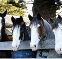 Victor Harbor Horse Drawn Tramway - Accommodation Tasmania