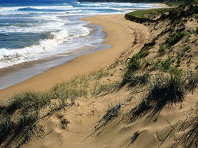 Waitpinga SA Accommodation Tasmania