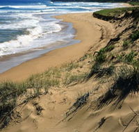 Newland Head Conservation Park - Accommodation Tasmania
