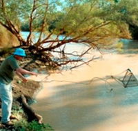 Charleville - Ward River Fishing Spot - Accommodation Tasmania