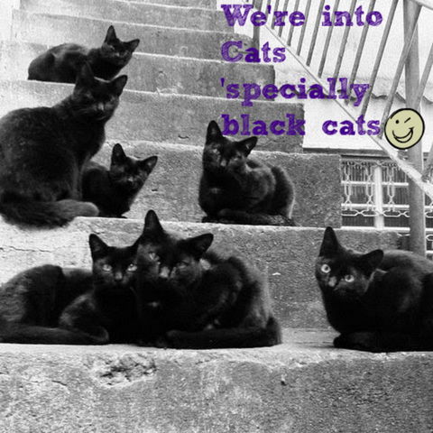 Gallery Serpentine - Accommodation Tasmania 11