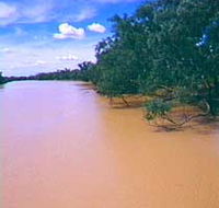 Warrego River - Accommodation Tasmania