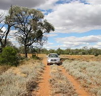 Augathella 4x4 Stock Route Trail - Accommodation Tasmania