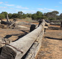 Zanci Pastoral Loop - Accommodation Tasmania