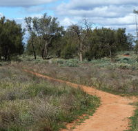 Grasslands Nature trail - Accommodation Tasmania