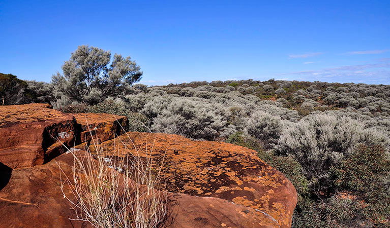 Canbelego NSW Accommodation Tasmania