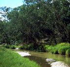 Salvator Rosa Section - Carnarvon National Park - Accommodation Tasmania
