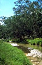 Salvator Rosa Section - Carnarvon National Park - Accommodation Tasmania 0