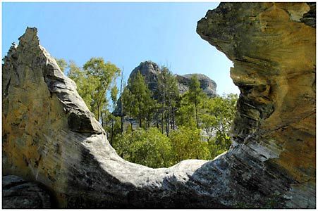 Salvator Rosa Section - Carnarvon National Park - Accommodation Tasmania 1