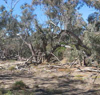 Mirri Mirru Yurun - Accommodation Tasmania
