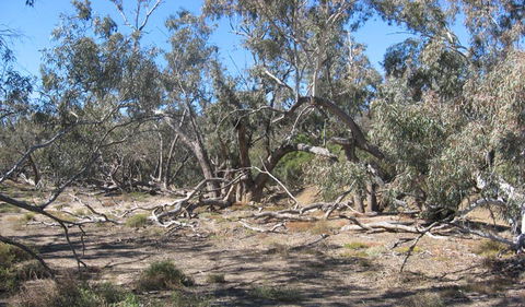 Mirri Mirru Yurun - Accommodation Tasmania 0